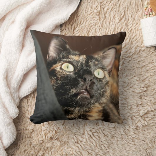 tortie cat pillow クッション (ブランケット)