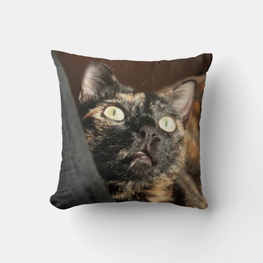 tortie cat pillow クッション (正面)