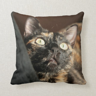 tortie cat pillow クッション