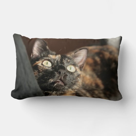 tortie cat pillow ランバークッション (正面)
