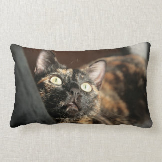 tortie cat pillow ランバークッション