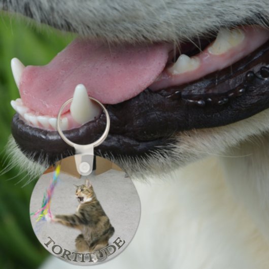 Tortitude cat keychain キーホルダー