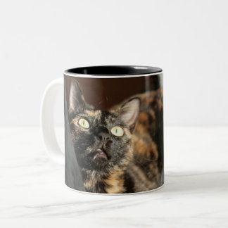 Tortitude mug - tortoiseshell cat ツートーンマグカップ