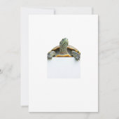 tortle 招待状 (正面)