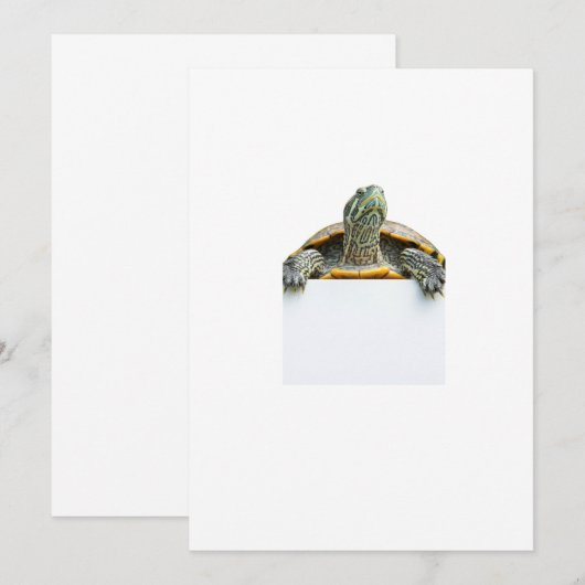 tortle 招待状 (正面/裏面)