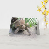 Tortoiseグリーティングカード カード (黄色い花)