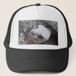 Tortoise Face キャップ