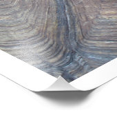 Tortoise Shell写真：リンダ・ベッカー フォトプリント (角)