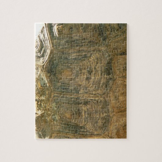 Tortoise Shell自然写真 ジグソーパズル (縦)