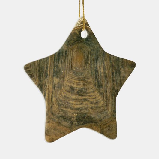 Tortoise Shell自然写真 セラミックオーナメント (右)