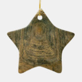 Tortoise Shell自然写真 セラミックオーナメント (正面)