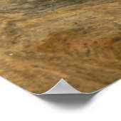 Tortoise Shell自然写真 ポスター (角)