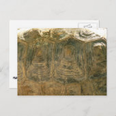 Tortoise Shell自然写真 ポストカード (正面/裏面)