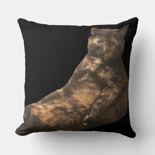 Tortoise-shell Cat Pillow クッション (正面)