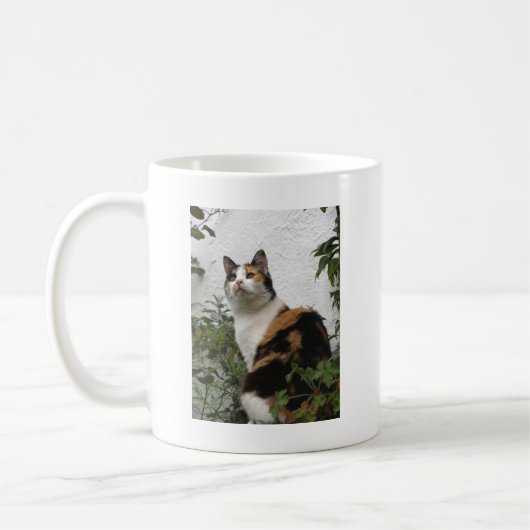 Tortoiseshellおよび白い猫 コーヒーマグカップ (左)