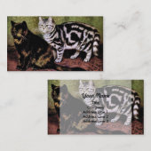 Tortoiseshellおよび銀の虎猫猫 名刺 (正面/裏面)