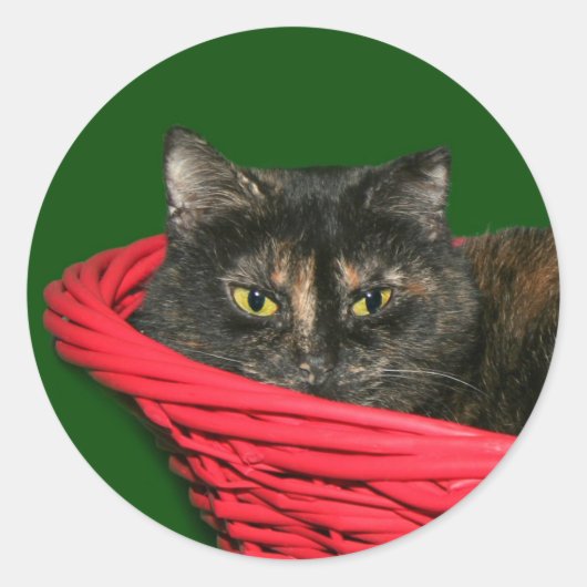 Tortoiseshellのクリスマス ラウンドシール (正面)