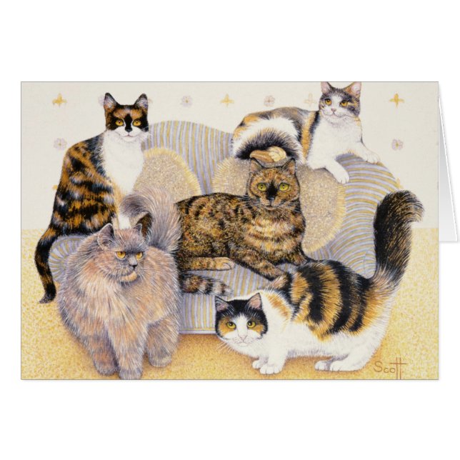 Tortoiseshellの女性 (正面横)