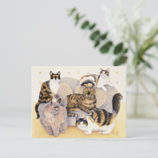 Tortoiseshellの女性 ポストカード (スタンド正面)