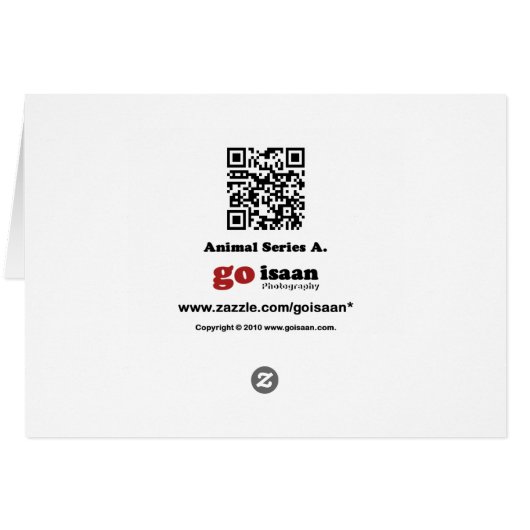 Tortoiseshellカード (裏面横)