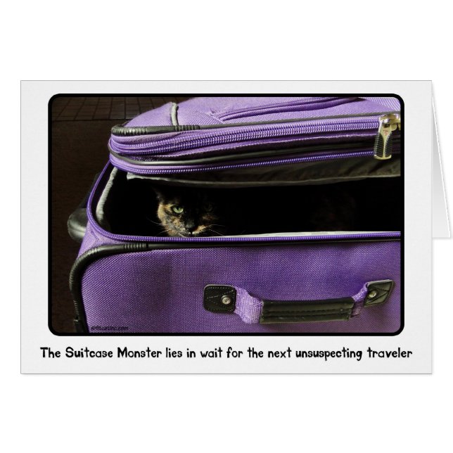 Tortoiseshell猫のスーツケースモンスター (正面横)