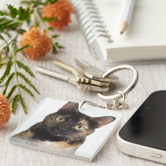 Tortoiseshell猫 キーホルダー (正面右)