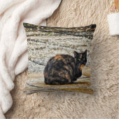 Tortoiseshell猫 クッション (ブランケット)