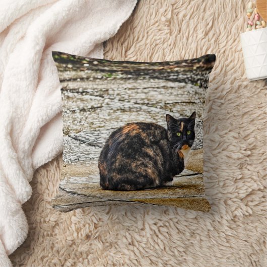 Tortoiseshell猫 クッション (ブランケット)