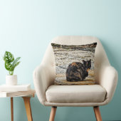 Tortoiseshell猫 クッション (椅子)