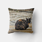 Tortoiseshell猫 クッション (裏面)