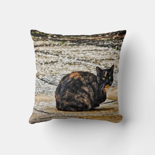 Tortoiseshell猫 クッション (裏面)