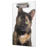 Tortoiseshell猫 クリップボード (左)