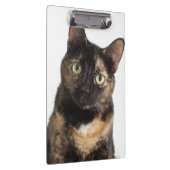 Tortoiseshell猫 クリップボード (右)