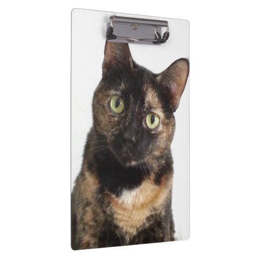 Tortoiseshell猫 クリップボード (右)