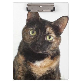 Tortoiseshell猫 クリップボード