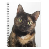 Tortoiseshell猫 ノートブック (正面)