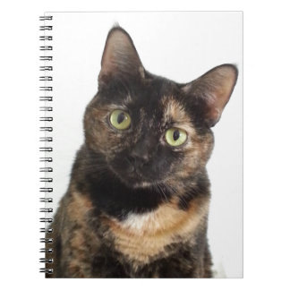 Tortoiseshell猫 ノートブック