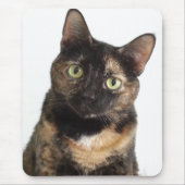 Tortoiseshell猫 マウスパッド (正面)