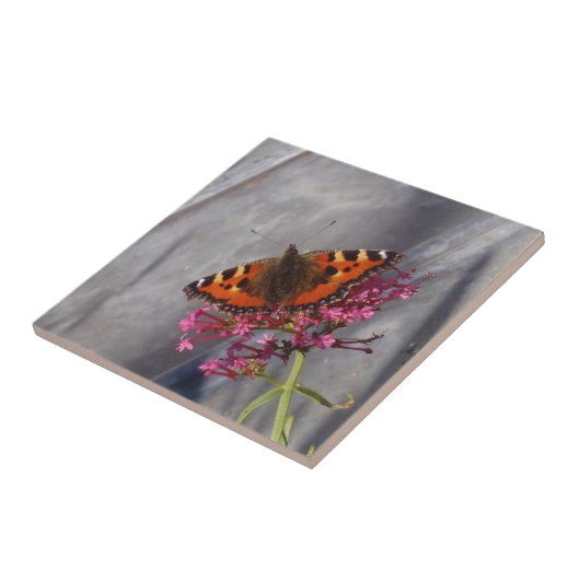 Tortoiseshell蝶 タイル (側面)