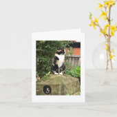 Tortoiseshell and White Calico Cat カード (黄色い花)