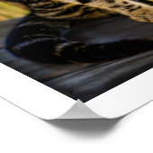 Tortoiseshell Cat Portrait, Closeup Animal Photo ポスター (角)