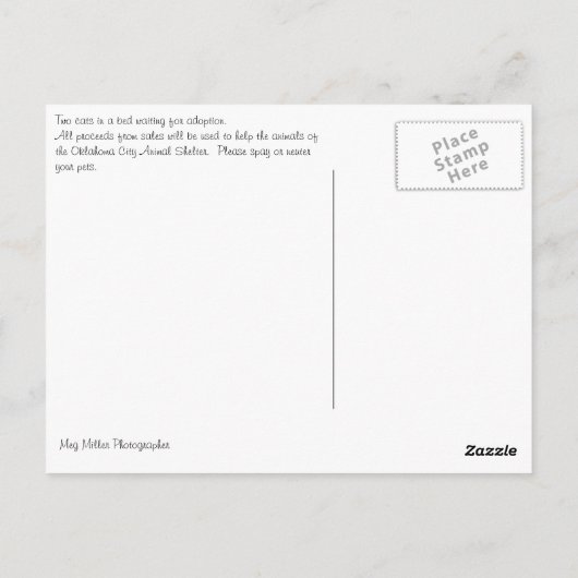 Tortoiseshell & Tabby Cats ポストカード (裏面)