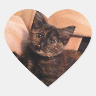 Tortoiseshell、TortieのTortieの子ネコ、子ネコ、猫、 ハートシール