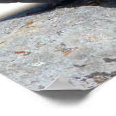 Tórtolas en Betancuria. Fuerteventura. ポスター (角)