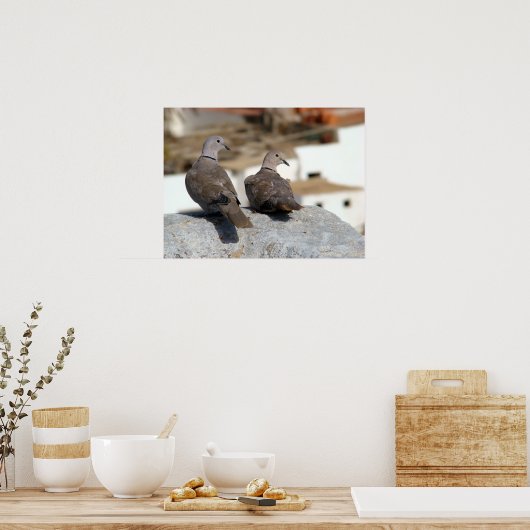 Tórtolas en Betancuria. Fuerteventura. ポスター (キッチン)