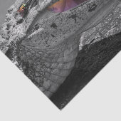 Tortugueroで微笑むワニ – コスタリカ 薄葉紙 (詳細)