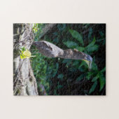 Tortuguero,コスタリカ – 裸で喉を切ったタイガーヘロン ジグソーパズル (横)