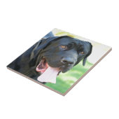 Tosa Inu犬 タイル (側面)