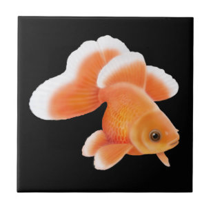 Tosakinのファンテールの金魚のタイル タイル