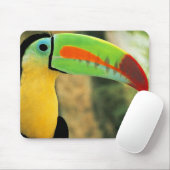 Toucanのマウスパッド マウスパッド (マウス)